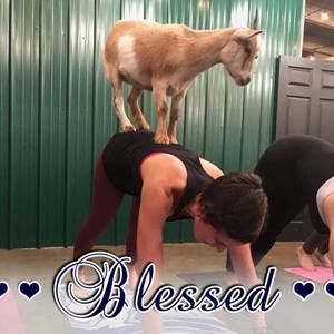 Meet your Posher, Ali